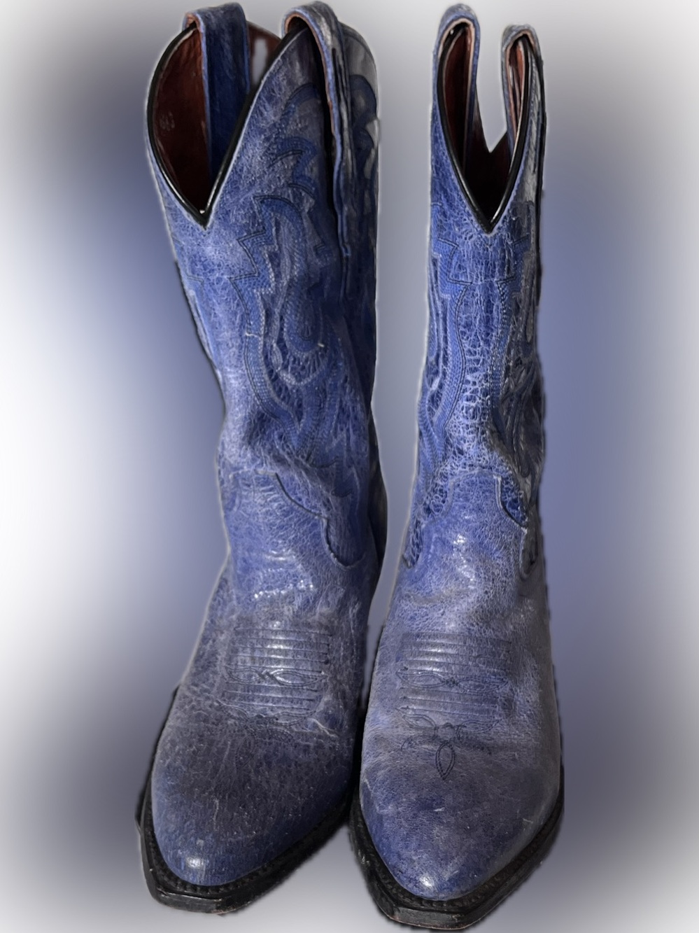 Dan Post Embossed Western Cowboy Boots